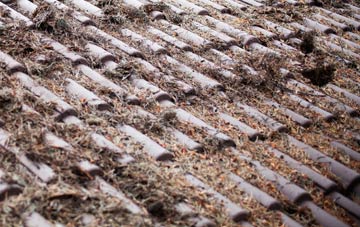 Newball roof cleaning companies