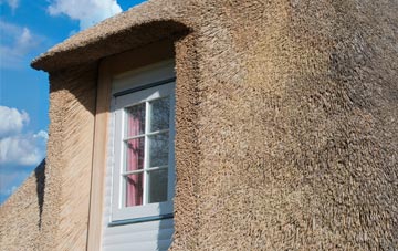 Newball thatch roof disadvantages