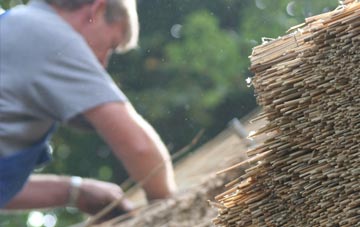 professional Newball thatchers