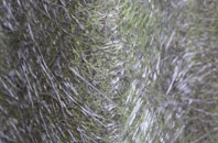 Newball fibreglass roof work