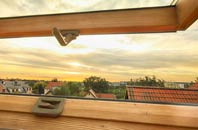 rated Newball roof window companies